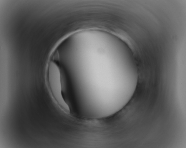 X0000092101524200710031203