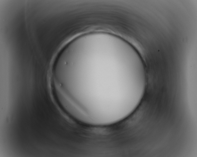 X0000092101525200710031203