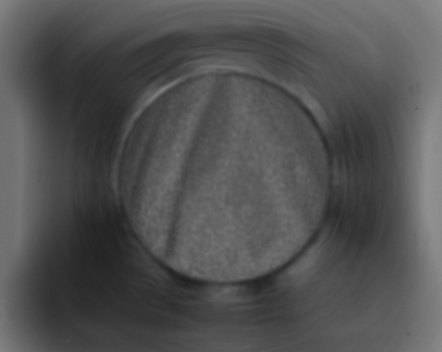 X0000092101529200710031203