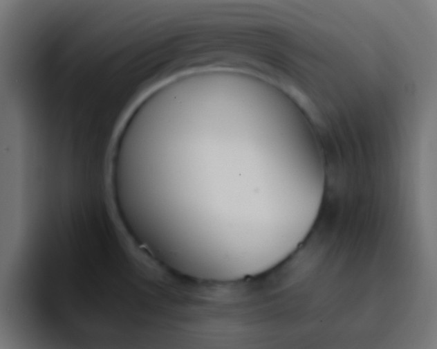 X0000092101530200710031203