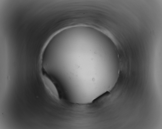 X0000092101532200710031203