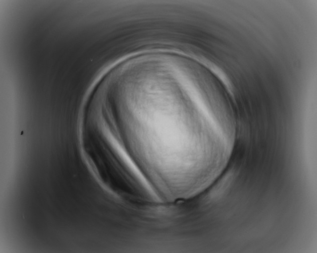 X0000092101533200710031203