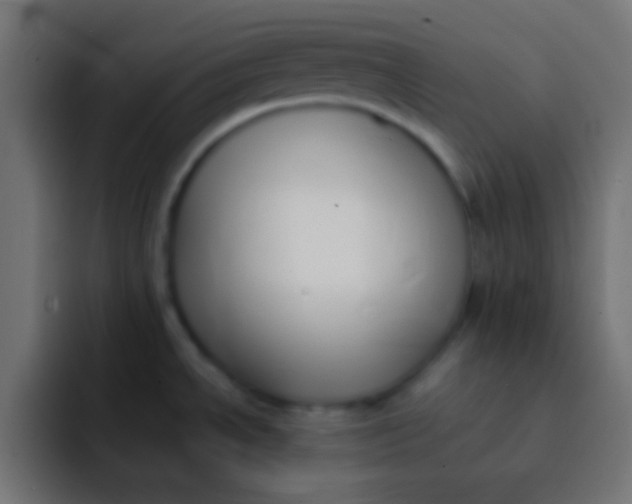 X0000092101534200710031203