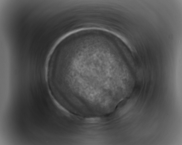 X0000092101535200710031203