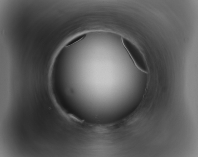 X0000092101536200710031203