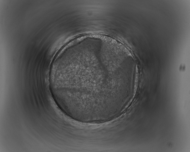 X0000092100002200710101131