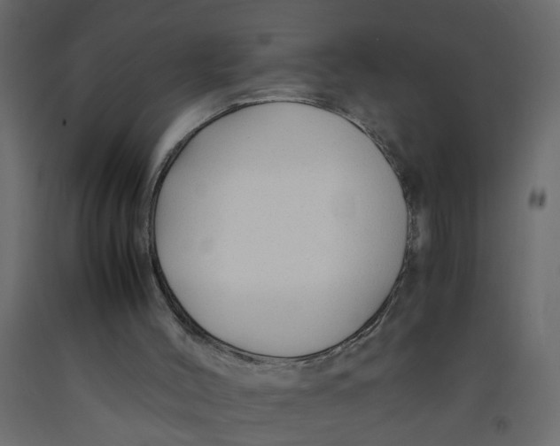 X0000092100004200710101131