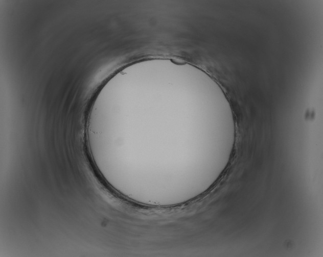 X0000092100005200710101131