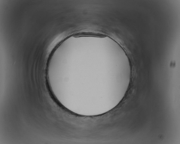 X0000092100007200710101131