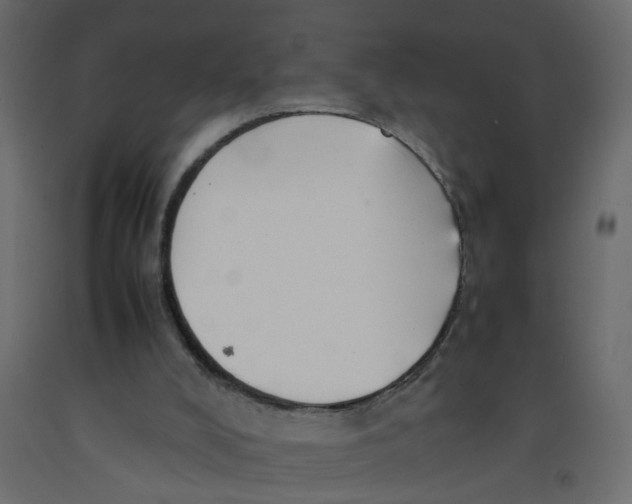 X0000092100008200710101131