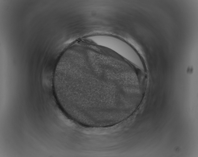 X0000092100009200710101131