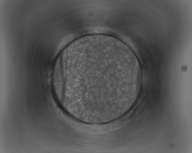 X0000092100010200710101131