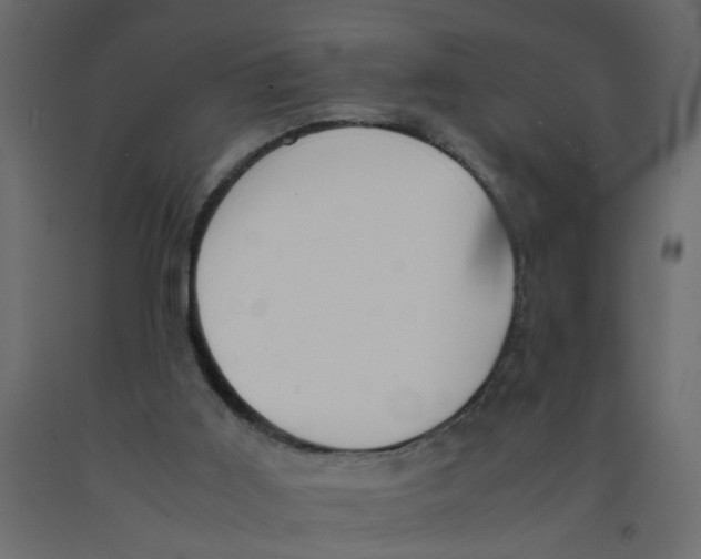 X0000092100011200710101131