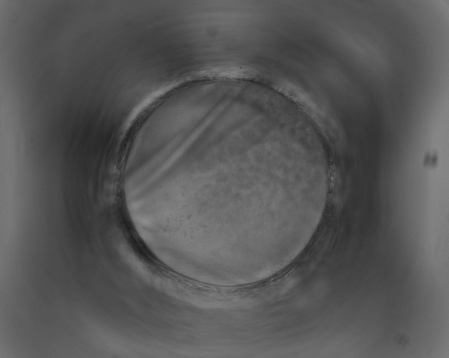 X0000092100012200710101131