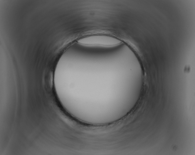 X0000092100013200710101131