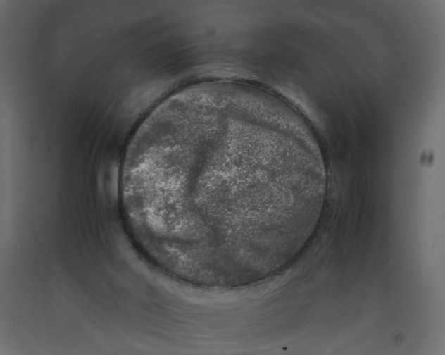 X0000092100014200710101131