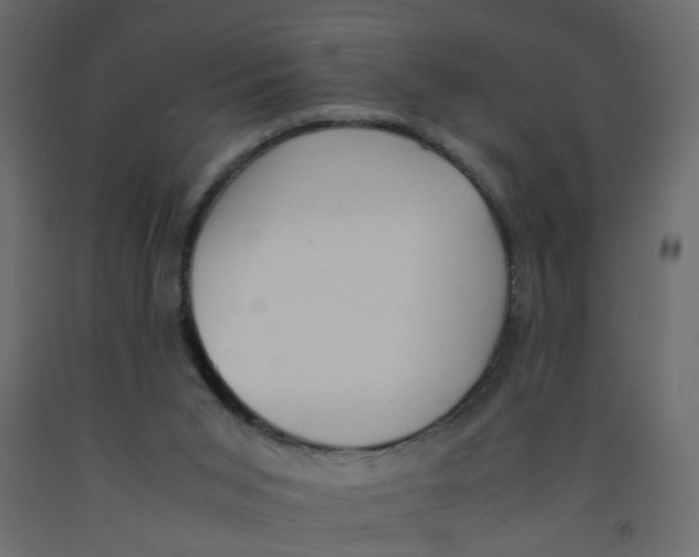 X0000092100015200710101131