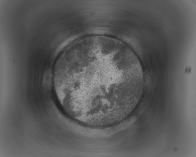 X0000092100016200710101131