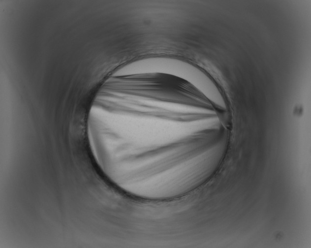 X0000092100017200710101131