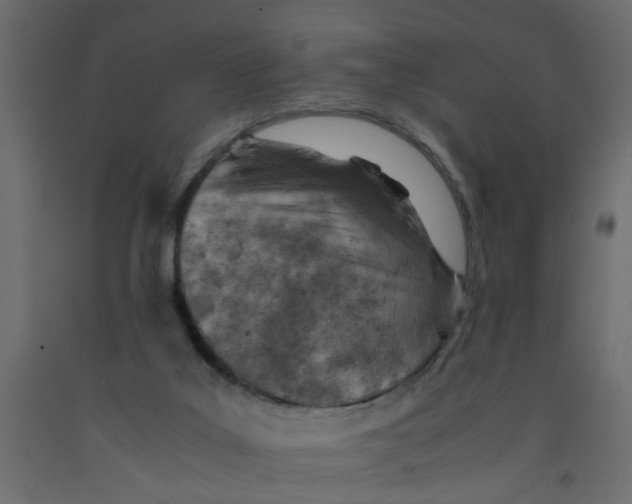 X0000092100019200710101131