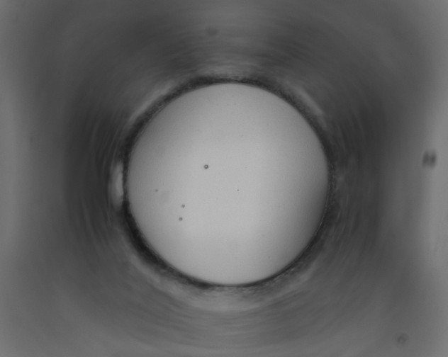 X0000092100020200710101131