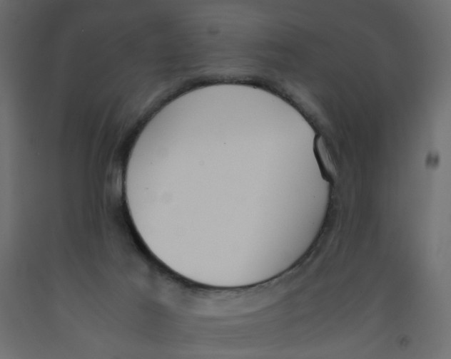 X0000092100021200710101131