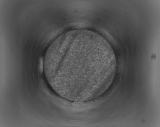 X0000092100022200710101131