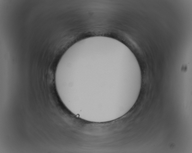 X0000092100025200710101131