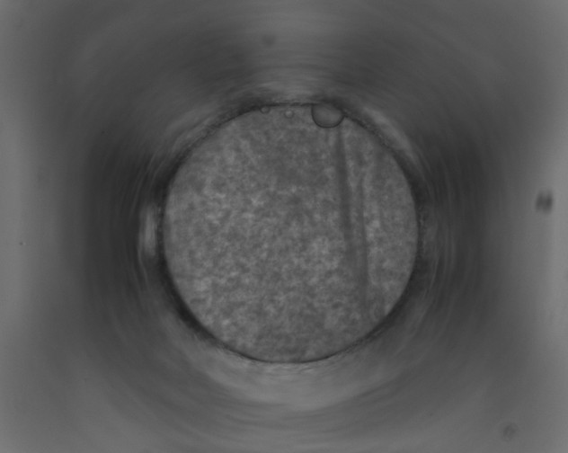 X0000092100026200710101131