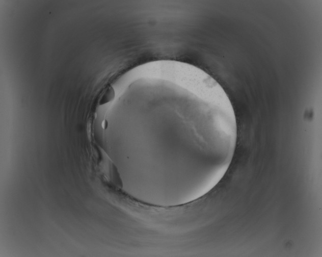 X0000092100027200710101131