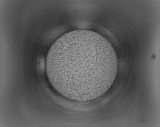 X0000092100028200710101131