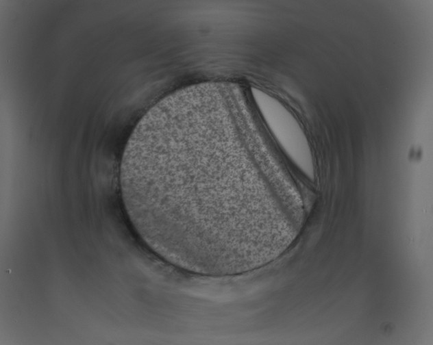 X0000092100029200710101131