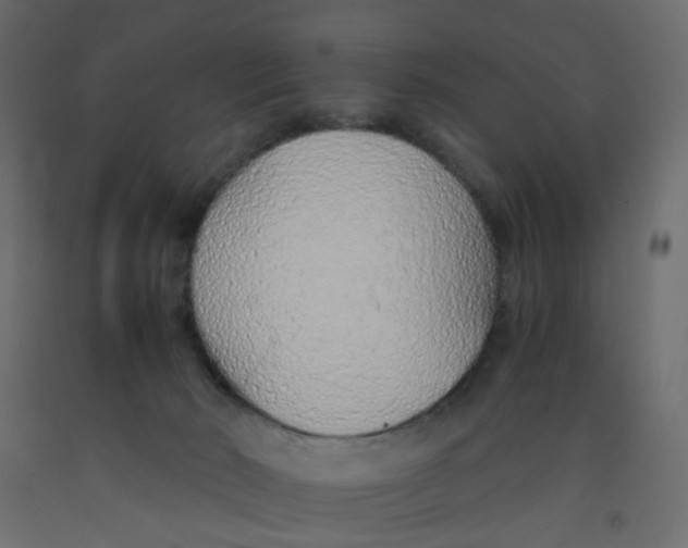 X0000092100030200710101131