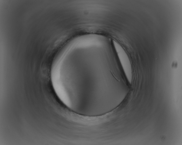 X0000092100031200710101131