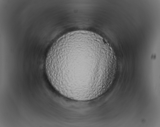 X0000092100032200710101131