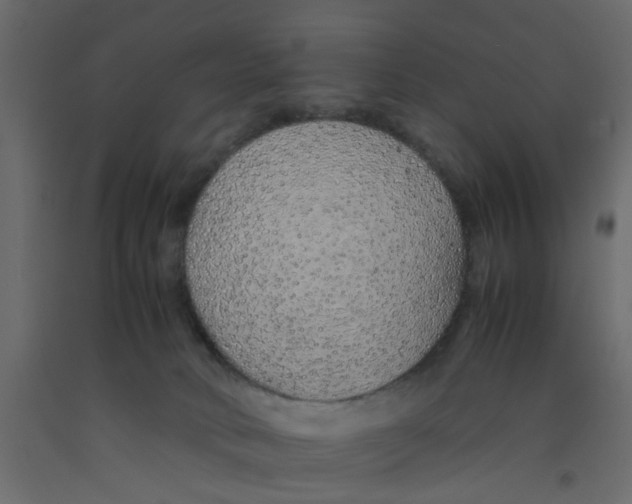 X0000092100034200710101131