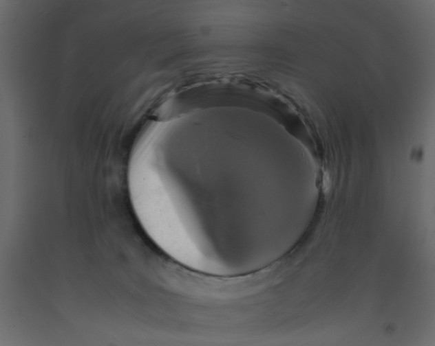 X0000092100035200710101131