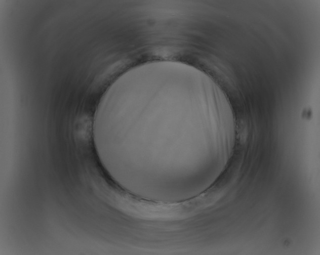 X0000092100036200710101131