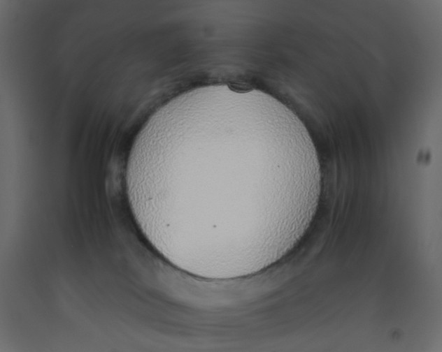 X0000092100038200710101131