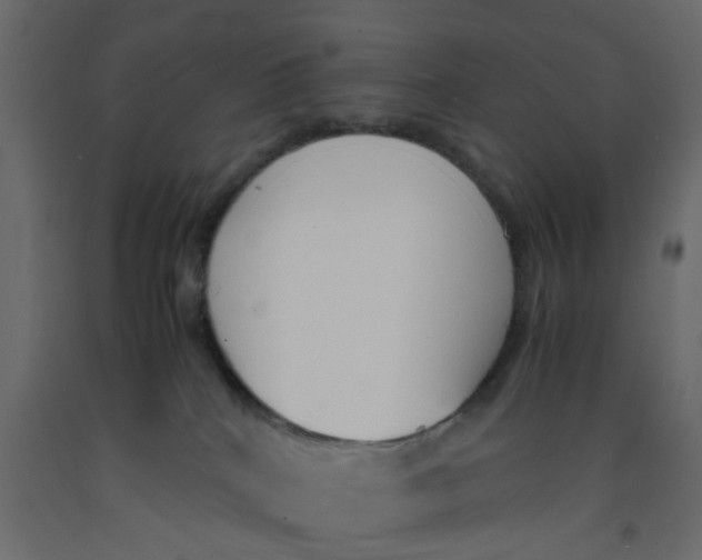 X0000092100040200710101131