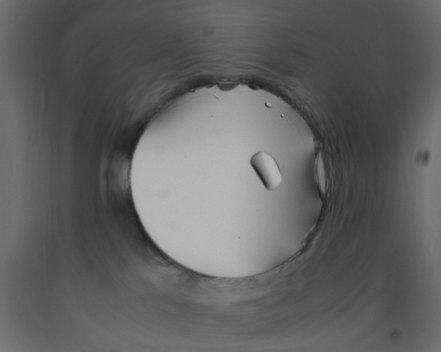 X0000092100041200710101131