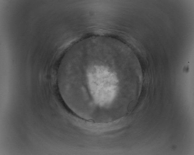 X0000092100043200710101131