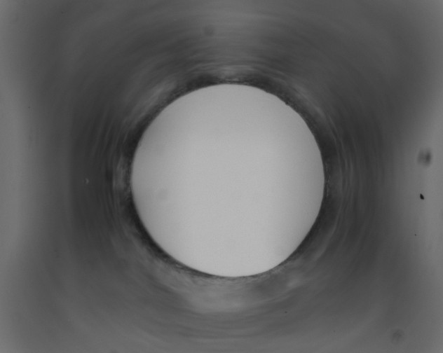 X0000092100044200710101131