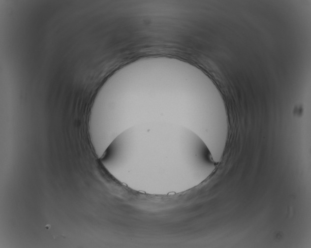 X0000092100045200710101131