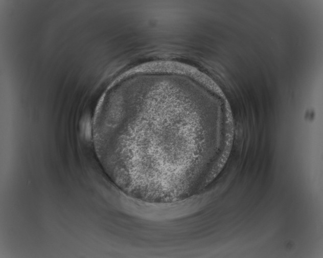 X0000092100046200710101131