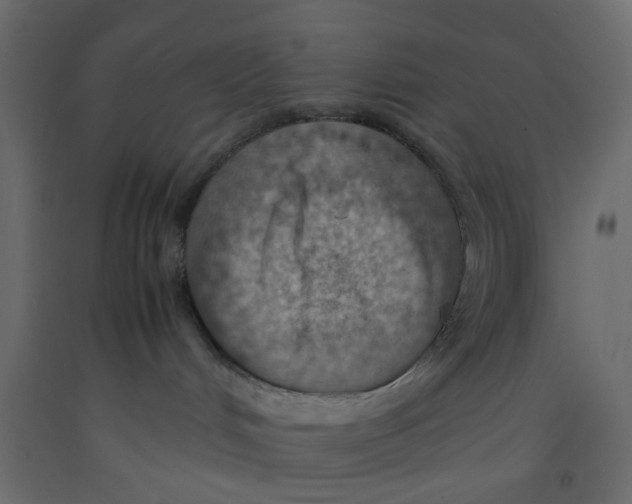 X0000092100048200710101131