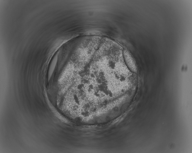 X0000092100049200710101130