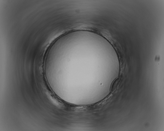 X0000092100050200710101130