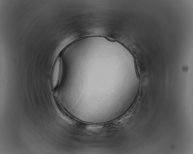 X0000092100051200710101130