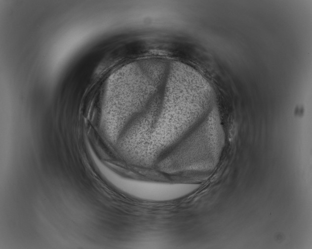 X0000092100052200710101130